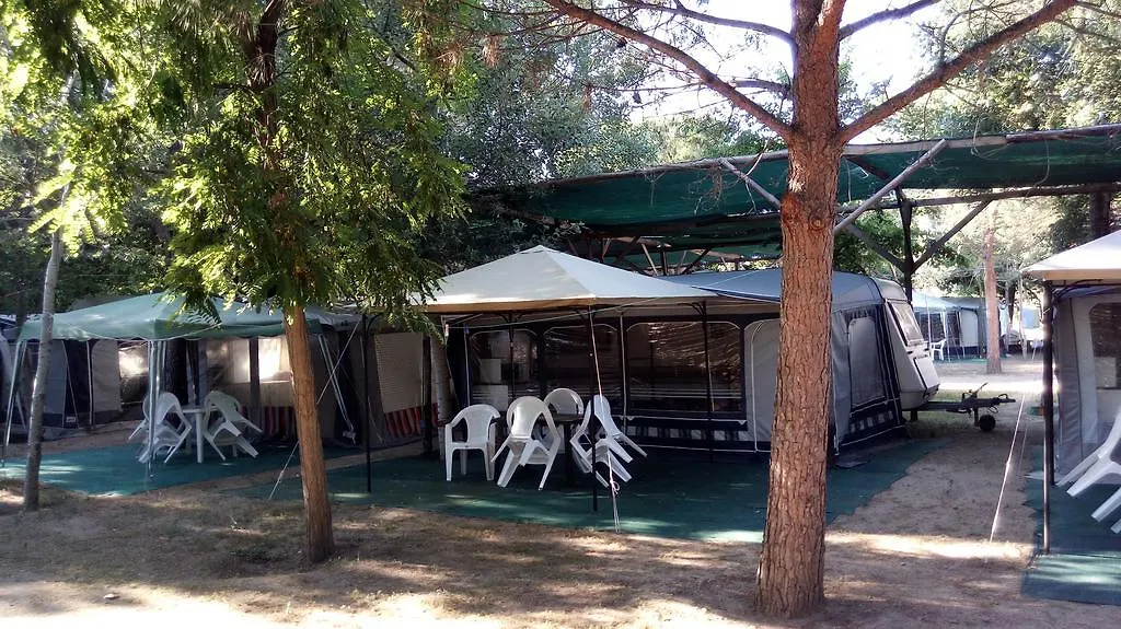Camping Pitsoni Sykia Chalkidikis